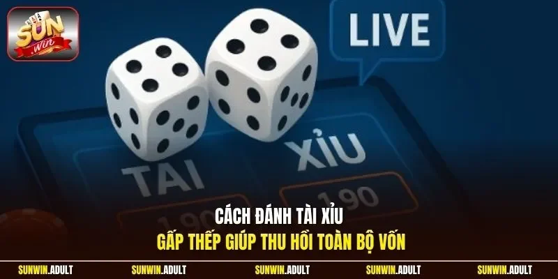 Cách đánh Tài Xỉu gấp thếp giúp thu hồi toàn bộ vốn